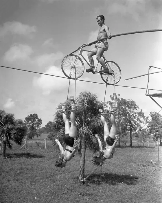 Framed Print : Spring Training for the Circus Framed Print : Spring Training for the Circus