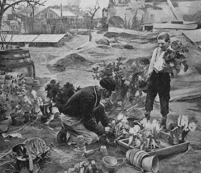 Framed Print : Spring Work, Gardener with his apprentice potting spring flowers in the nursery, Germany, 1898, Historic, digital reproduction of an original 19th-century image Framed Print : Spring Work, Gardener with his apprentice potting spring flowers in the nursery, Germany, 1898, Historic, digital reproduction of an original 19th-century image