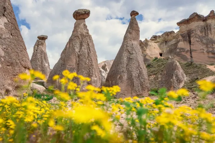 Framed Print : Springtime in Cappadocia, Turkey. Wild flowers and fairy chimneys Framed Print : Springtime in Cappadocia, Turkey. Wild flowers and fairy chimneys