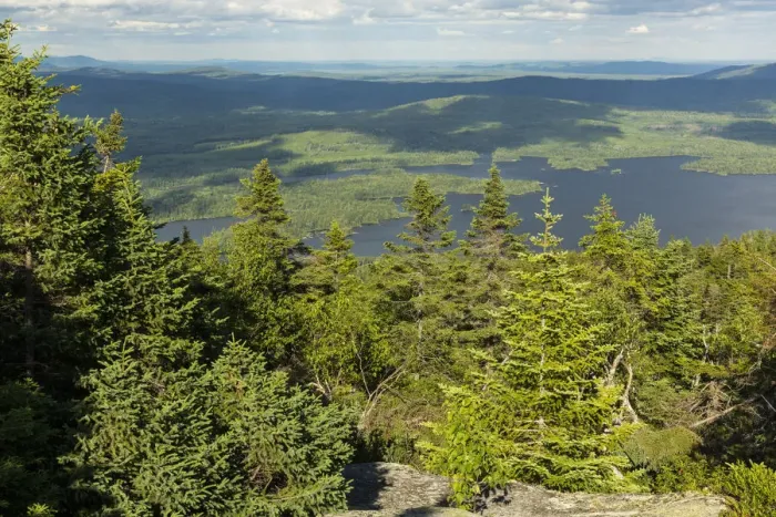 Framed Print : Spruce forest on Moxie Bald Mountain and Bald Mountain Pond in distance, Appalachian Trail, Bald Mountain Township, Maine, USA Framed Print : Spruce forest on Moxie Bald Mountain and Bald Mountain Pond in distance, Appalachian Trail, Bald Mountain Township, Maine, USA