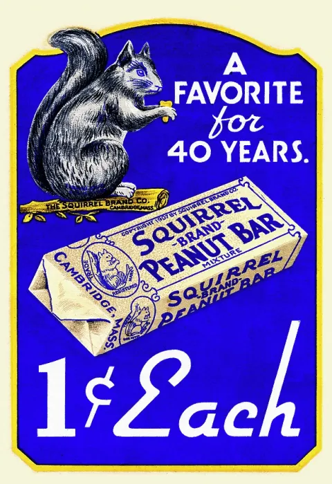 Framed Print : Squirrel Brand Peanut Bar Framed Print : Squirrel Brand Peanut Bar