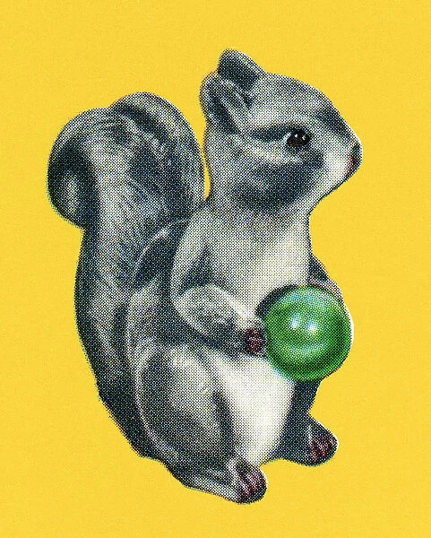 Squirrel Holding a Little Ball