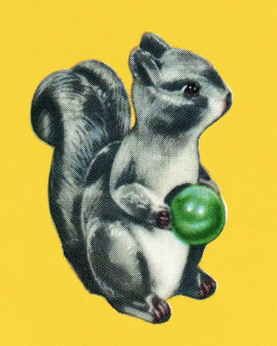 Framed Print : Squirrel Holding a Little Ball Framed Print : Squirrel Holding a Little Ball