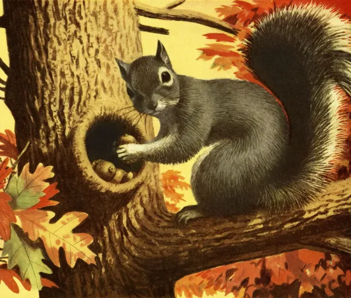 Framed Print : Squirrel Storing Nuts Framed Print : Squirrel Storing Nuts