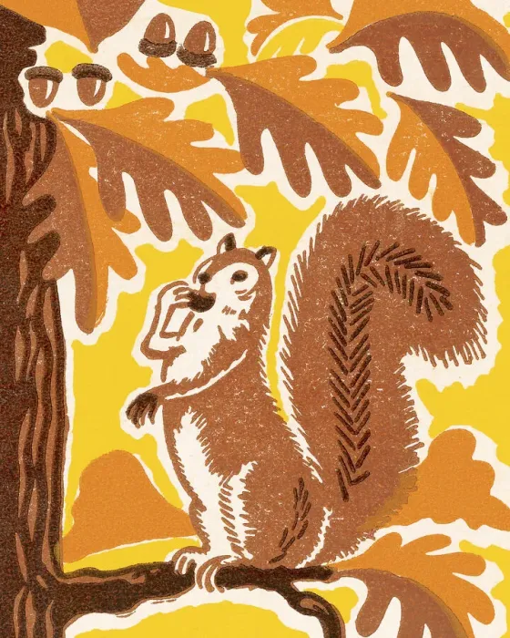 Framed Print : Squirrel in a Tree Framed Print : Squirrel in a Tree