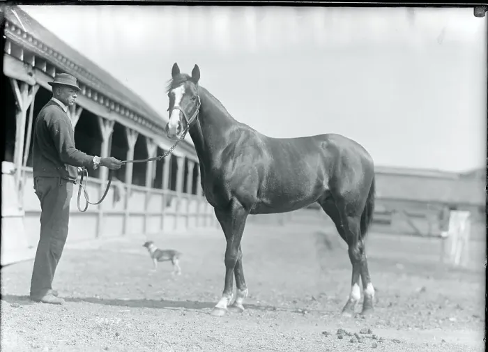 Framed Print : Stable Worker Posing With Racehorse Framed Print : Stable Worker Posing With Racehorse