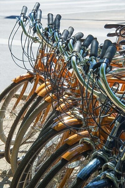 Stack of Identical Bicycles