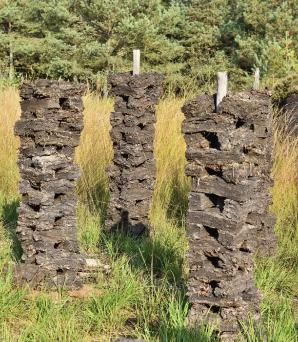 Framed Print : Stacks of peat sods left or drying in the traditional manner, Grundbeckenmoor Rosenheim, near Raubling, Upper Bavaria, Bavaria, Germany