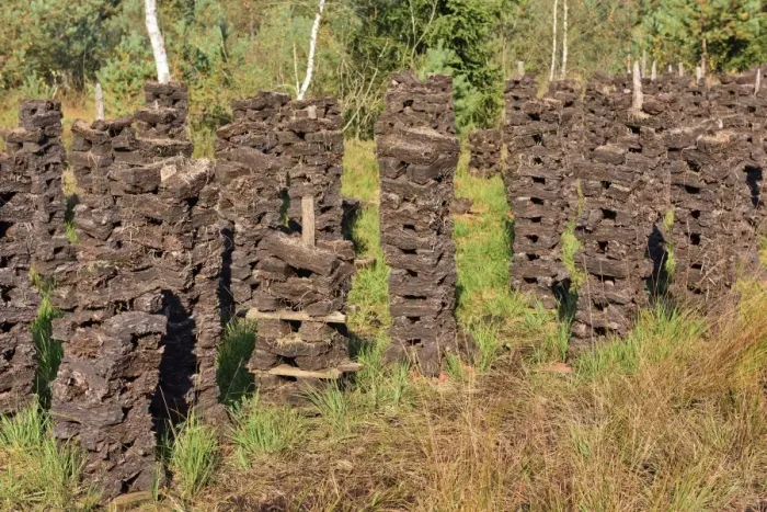 Framed Print : Stacks of peat sods left or drying in the traditional manner, Grundbeckenmoor Rosenheim, near Raubling, Upper Bavaria, Bavaria, Germany Framed Print : Stacks of peat sods left or drying in the traditional manner, Grundbeckenmoor Rosenheim, near Raubling, Upper Bavaria, Bavaria, Germany
