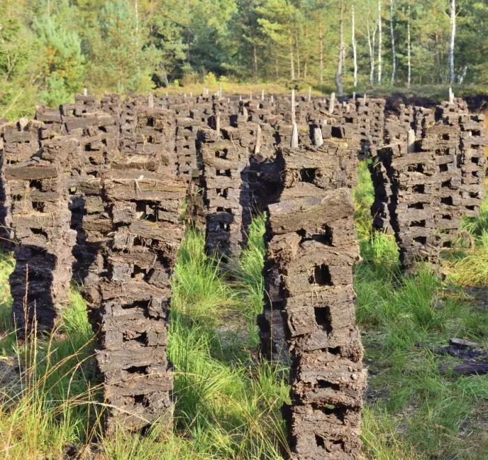 Framed Print : Stacks of peat sods left or drying in the traditional manner, Grundbeckenmoor Rosenheim, near Raubling, Upper Bavaria, Bavaria, Germany Framed Print : Stacks of peat sods left or drying in the traditional manner, Grundbeckenmoor Rosenheim, near Raubling, Upper Bavaria, Bavaria, Germany