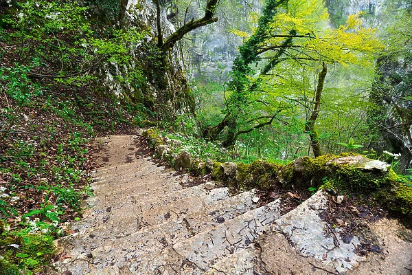 Stairs in Plitvice Lakes