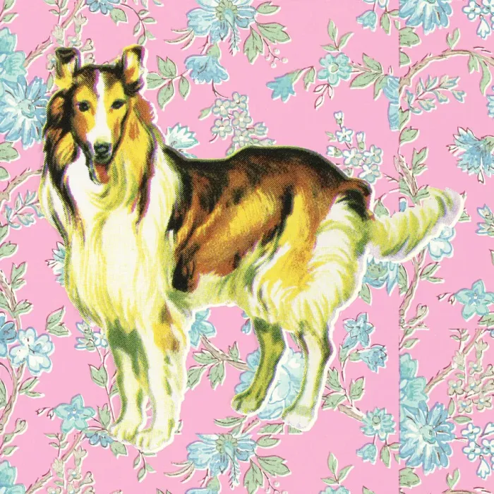 Framed Print : Standing Dog and Floral Pink Background Framed Print : Standing Dog and Floral Pink Background