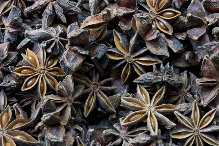 Framed Print : Star anise, Kerala, India Framed Print : Star anise, Kerala, India
