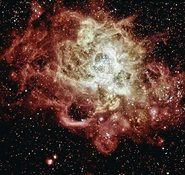 Star formation NGC 604