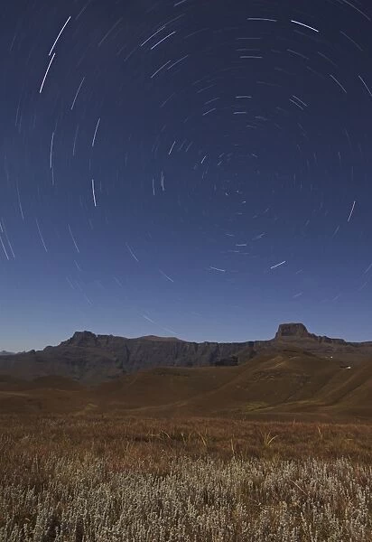 Star trails over the Amphitheatre range in the Drakensberg mountains, Kwazulu-Natal, South Africa