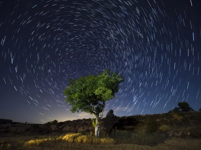 Framed Print : Star Trails. A green tree leaves the field in a starry night Framed Print : Star Trails. A green tree leaves the field in a starry night