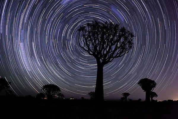 Star Trails over the Quiver Tree Forest, Keetmanshoop, Namibia