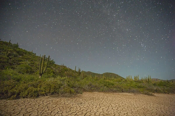 Starry sky over cracked desert, Isla San Jose, Baja California Sur, Mexico
