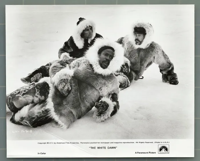 Framed Print : Stars of The White Dawn Lying in Snow Framed Print : Stars of The White Dawn Lying in Snow