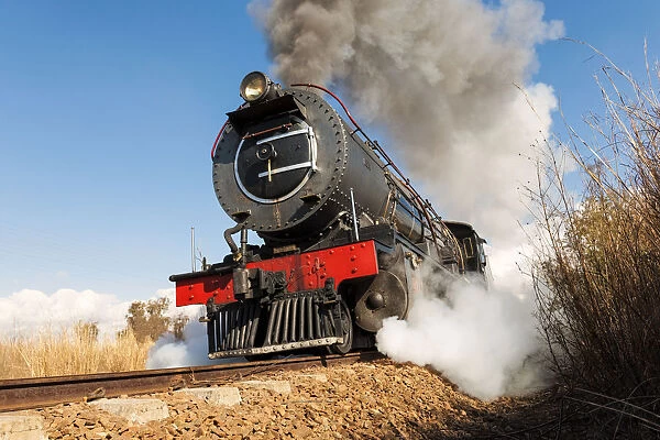 Steam locomotive puffing at full speed on railroad track, Magaliesburg, Gauteng Province, South Africa