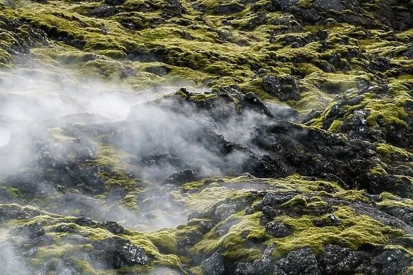Steaming lava fields in Reykjanes, Iceland