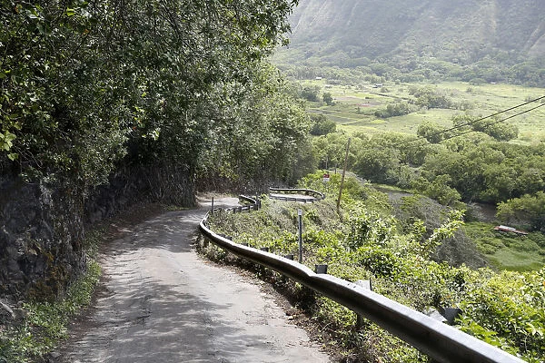Steep mountain road with a 25% slope, Waipio Valley, Big Island, Hawaii, USA