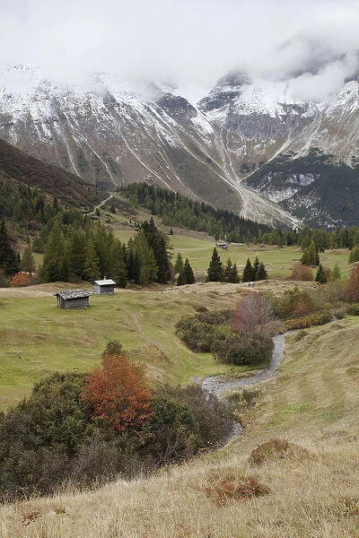 Steineralm alpine pasture, Lake Obernberg, Tyrol, Austria, Europe