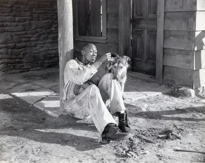 Framed Print : Stepin Fetchit Counting Sitting With Dog Framed Print : Stepin Fetchit Counting Sitting With Dog