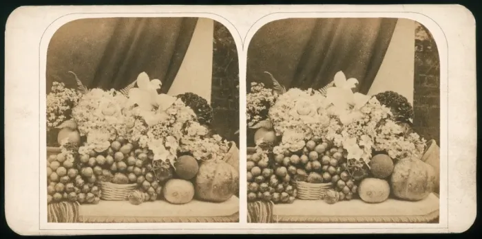 Framed Print : Stereoscopic Still Life Framed Print : Stereoscopic Still Life