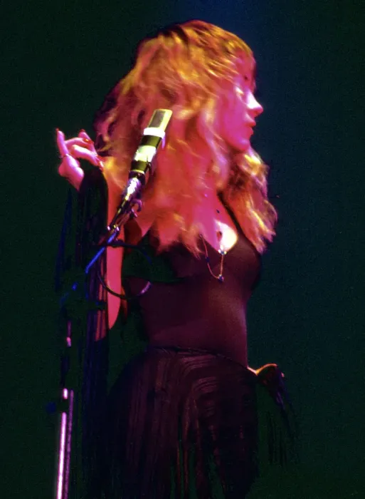 Framed Print : Stevie Nicks Performing