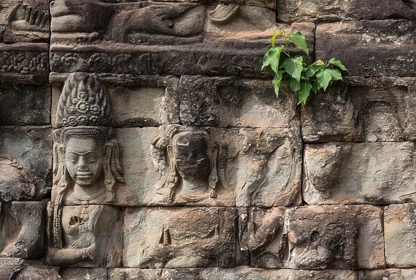 Stone Carvings, Angkor Wat