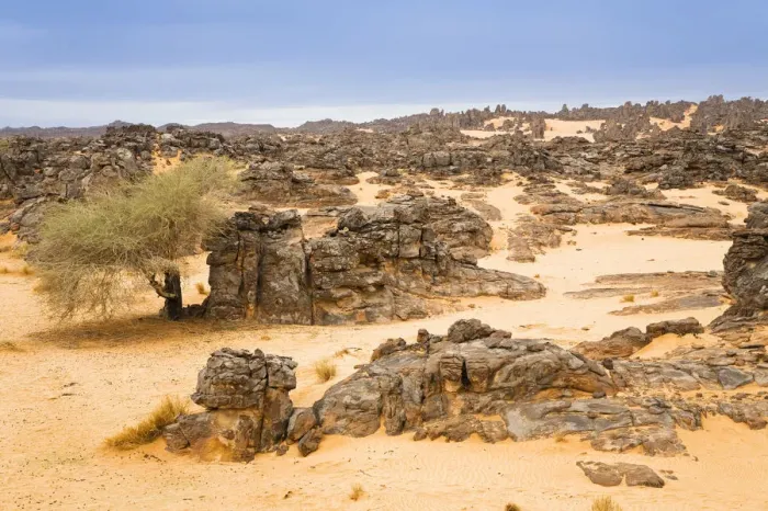 Framed Print : Stone desert, Tassili Maridet, Libyan Desert, Libya, Sahara, North Africa, Africa Framed Print : Stone desert, Tassili Maridet, Libyan Desert, Libya, Sahara, North Africa, Africa