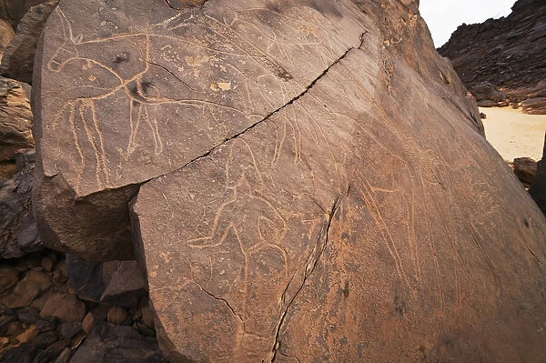Stone engravings in the Libyan stone desert, elephants, Tassili Maridet, Libya, Sahara, North Africa