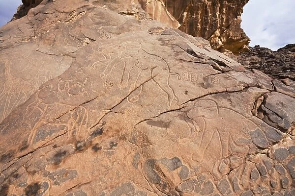 Stone engravings in the Libyan stone desert, elephants, Tassili Maridet, Libya, Sahara, North Africa