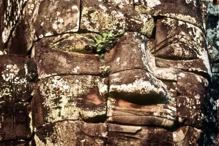 Framed Print : Stone face at Bayon Framed Print : Stone face at Bayon