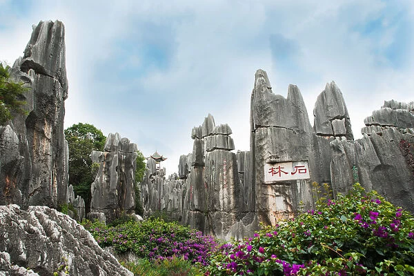 Stone forest, ShiLin, China