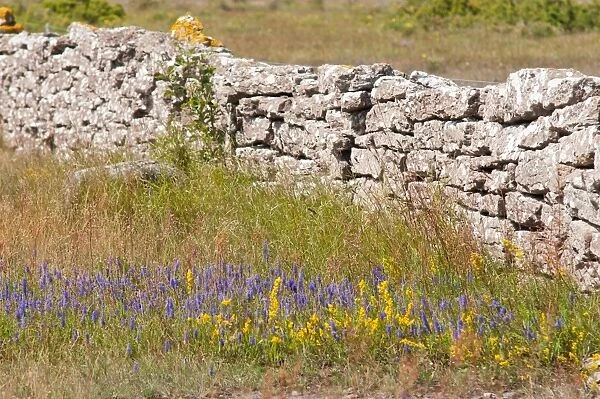 Stone wall on A-land