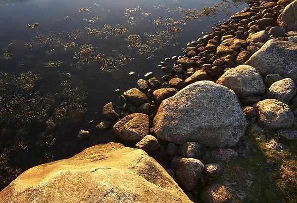 Stones on the coast at Laukvig, AustvAzAagAzA┼¥y, Lofoten, Norway, Scandinavia, Europe