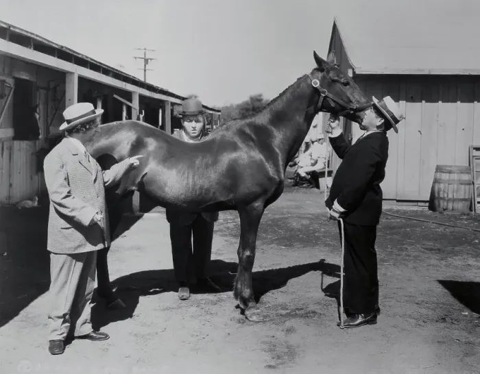 Framed Print : The Three Stooges with a Horse Framed Print : The Three Stooges with a Horse