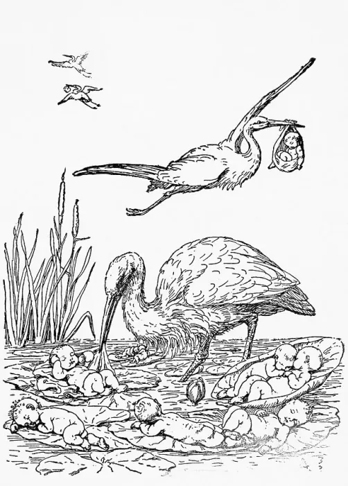 Framed Print : Storks Picking Babies Up / Delivery;Illust Framed Print : Storks Picking Babies Up / Delivery;Illust