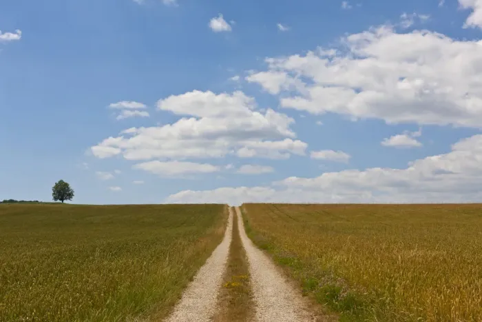 Framed Print : Straight dirt road through fields Framed Print : Straight dirt road through fields