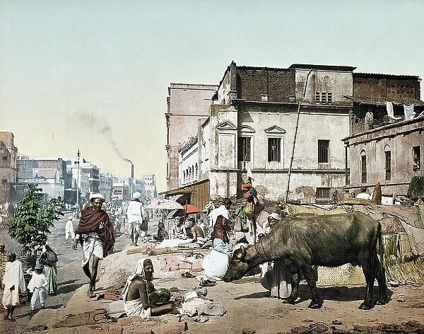 Strassemszeme, it People and Cow, Harrison Road with a Group of Jogees, Jogis, Calcutta, c. 1890, India, Historic, digitally restored reproduction from an original of the period
