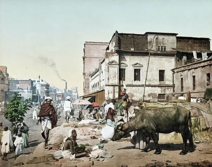 Framed Print : Strassemszeme, it People and Cow, Harrison Road with a Group of Jogees, Jogis, Calcutta, c. 1890, India, Historic, digitally restored reproduction from an original of the period Framed Print : Strassemszeme, it People and Cow, Harrison Road with a Group of Jogees, Jogis, Calcutta, c. 1890, India, Historic, digitally restored reproduction from an original of the period