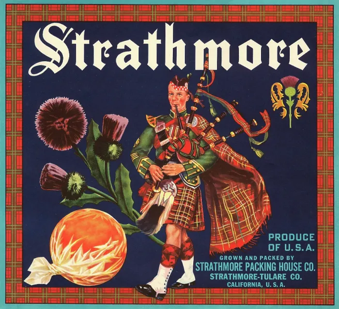 Framed Print : Strathmore Brand Framed Print : Strathmore Brand