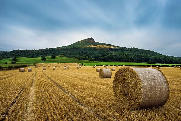 Straw bales and Roseberry Topping