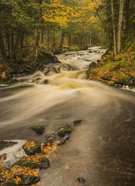 Stream in autumn, Upper Peninsula, Michigan, USA