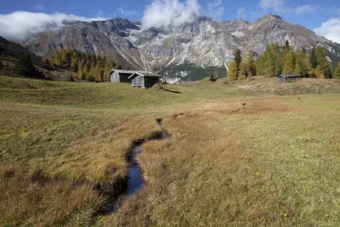 Framed Print : Stream through Steineralm alpine pasture, Lake Obernberg, Obernberg, Tyrol, Austria, Europe