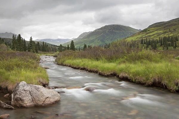 Stream in the Talkeetna Mountains, Palmer, Alaska, United States