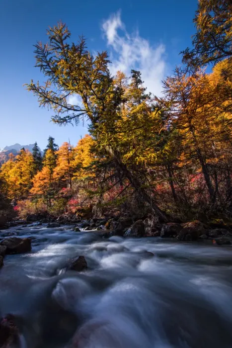 Framed Print : Stream in Yading Nature Reserve, Sichuan Province Framed Print : Stream in Yading Nature Reserve, Sichuan Province