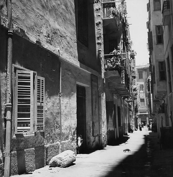 Street In Alexandria